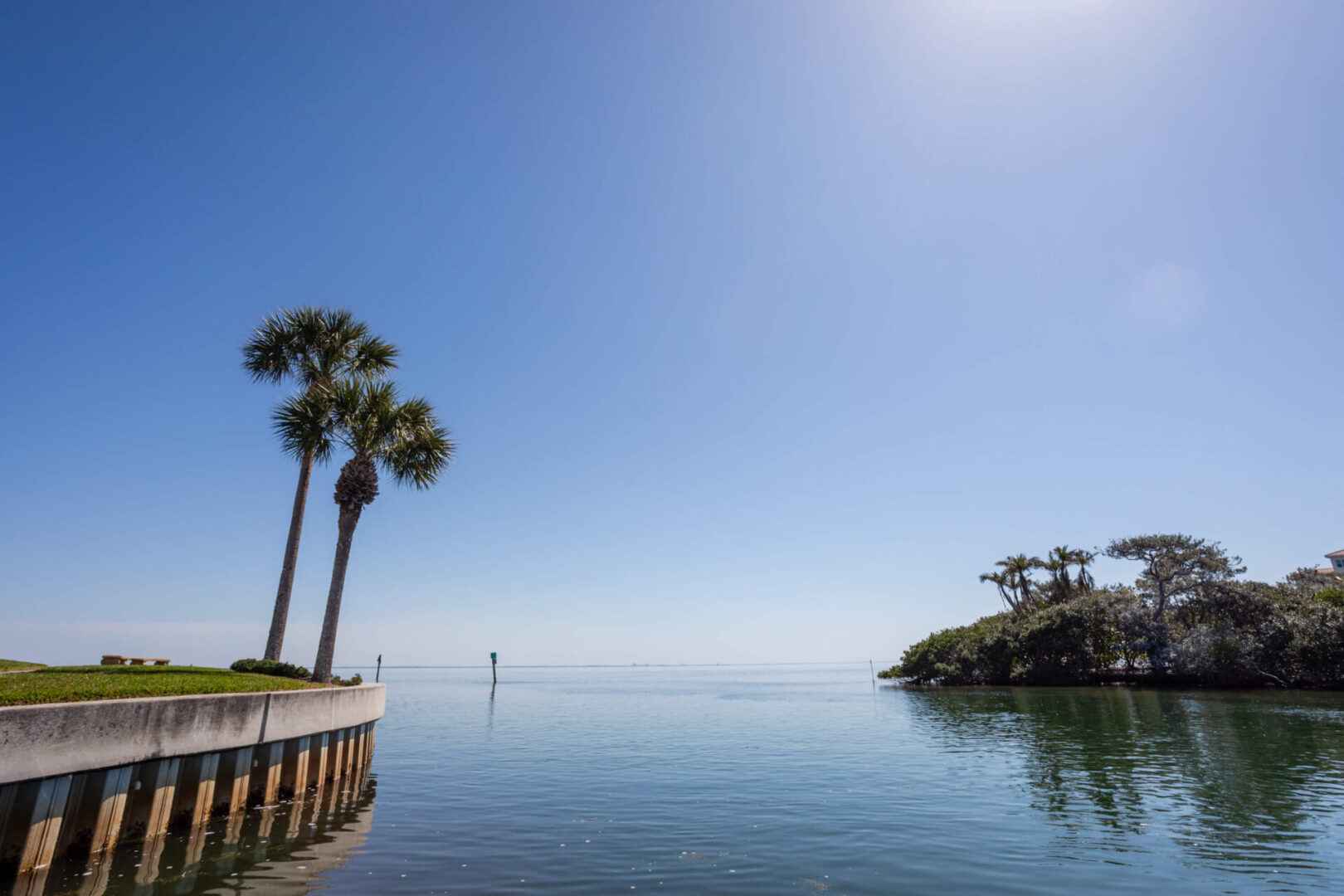 A view of the ocean with palm trees and a pier.